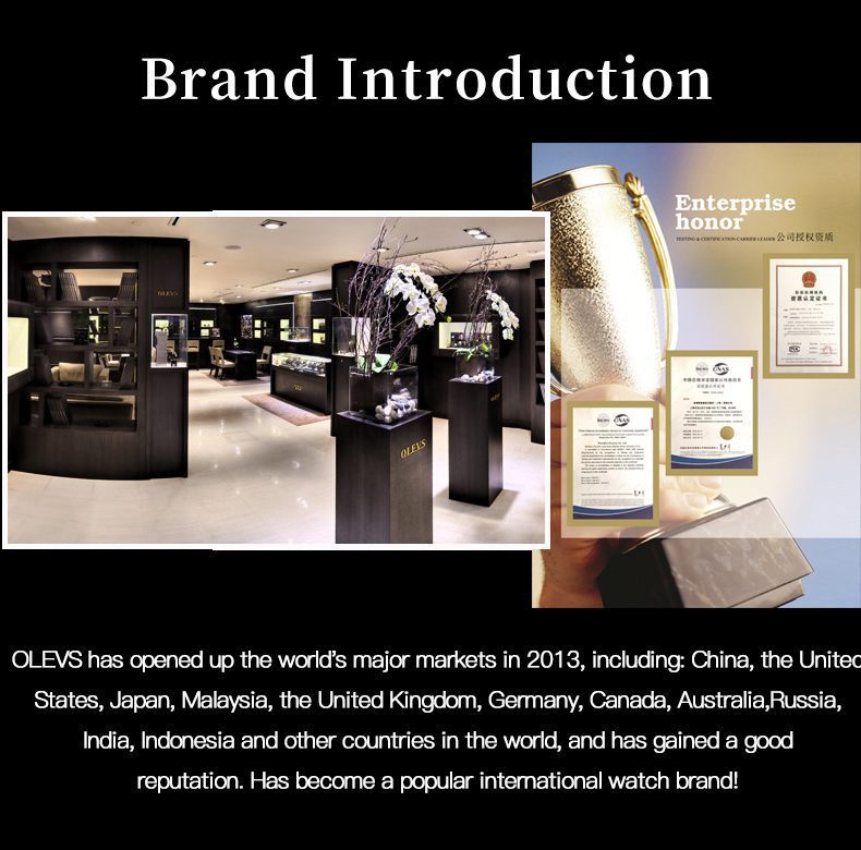 Olevs Men's Watch 2881