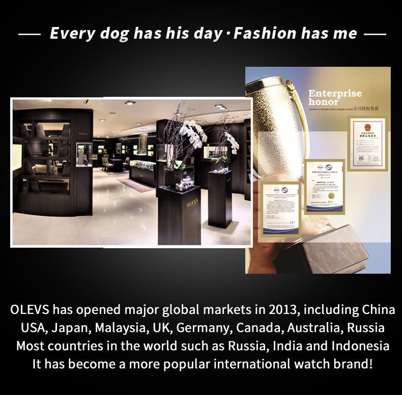 Olevs Men's Watch 2890