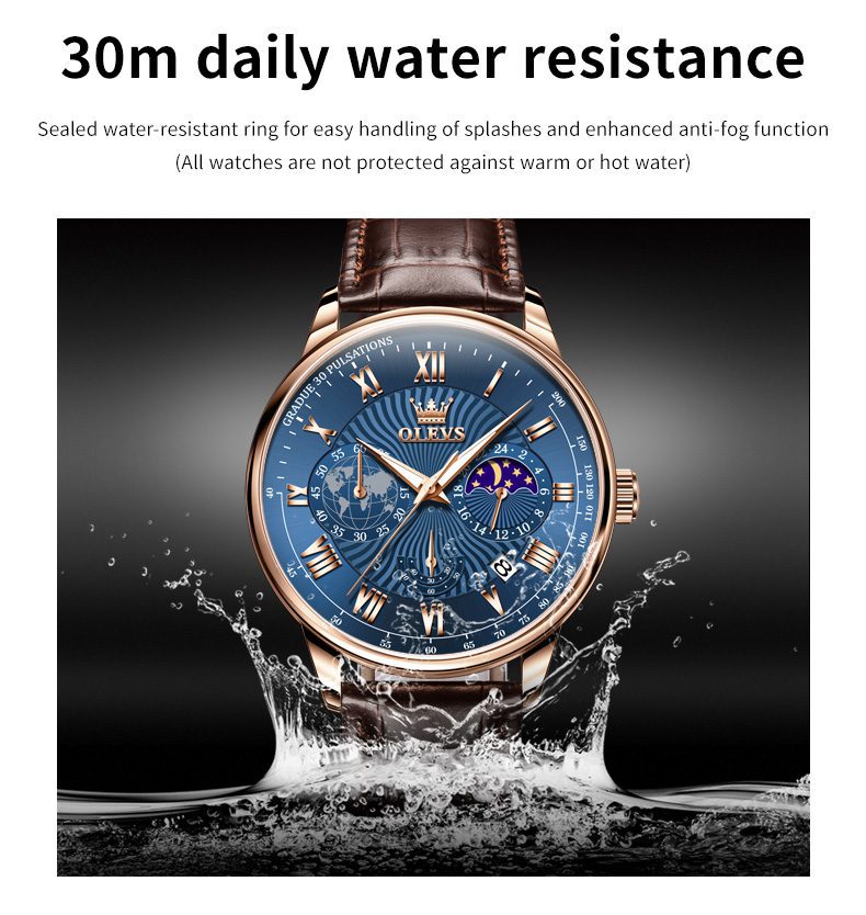 Olevs Men's Watch 2893