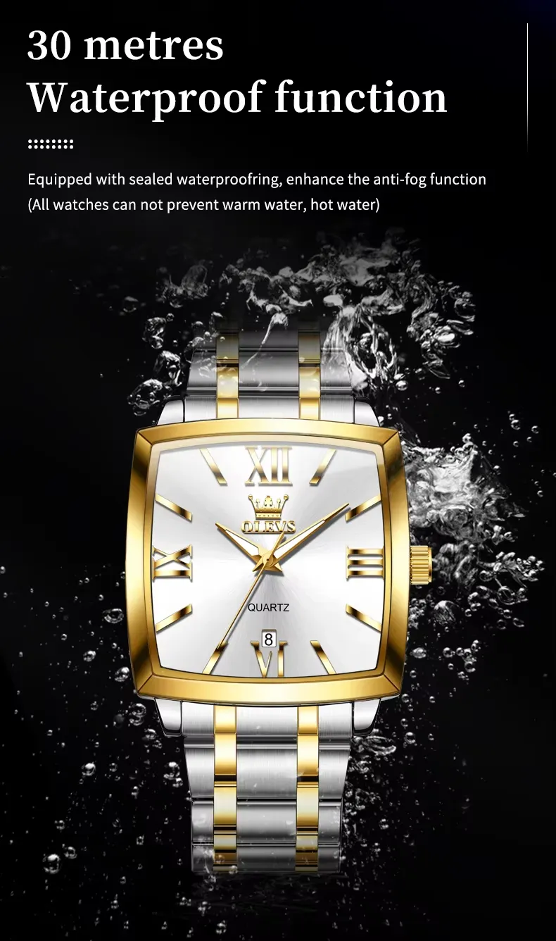 OLEVS Men's Watch 2969