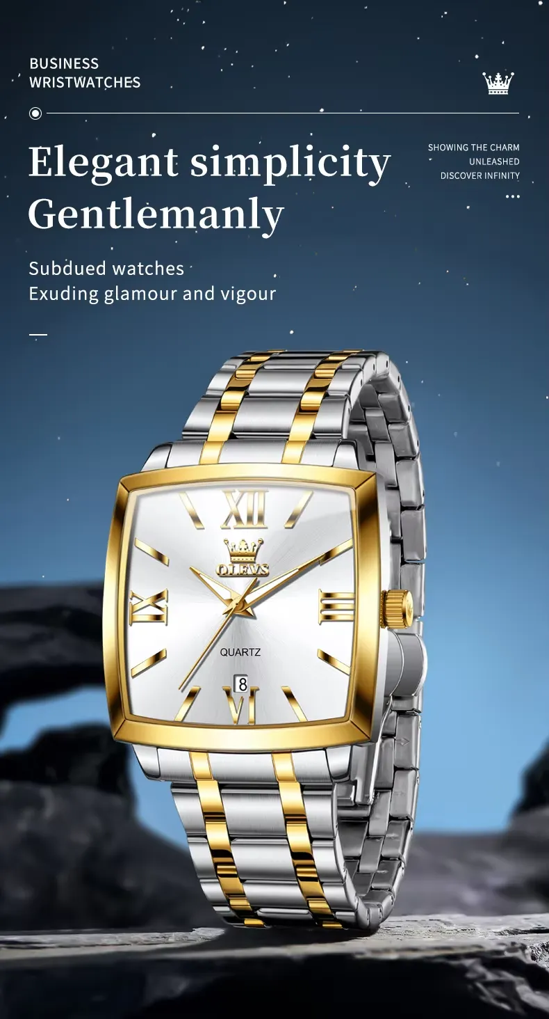 OLEVS Men's Watch 2969