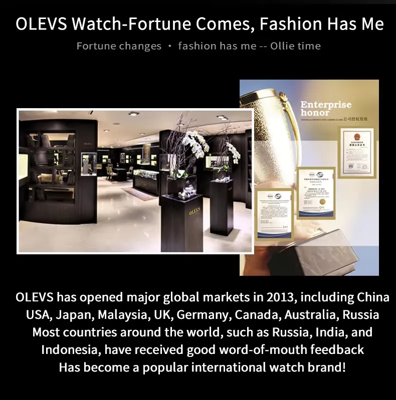 OLEVS Men's Watch 2978