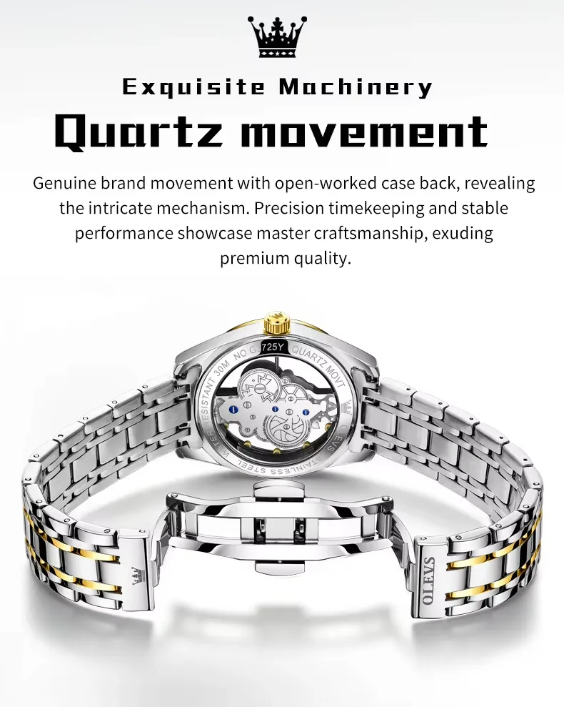 OLEVS Men's Watch 3725