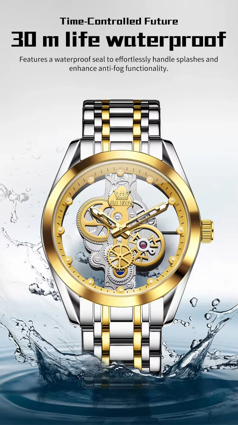 OLEVS Men's Watch 3725