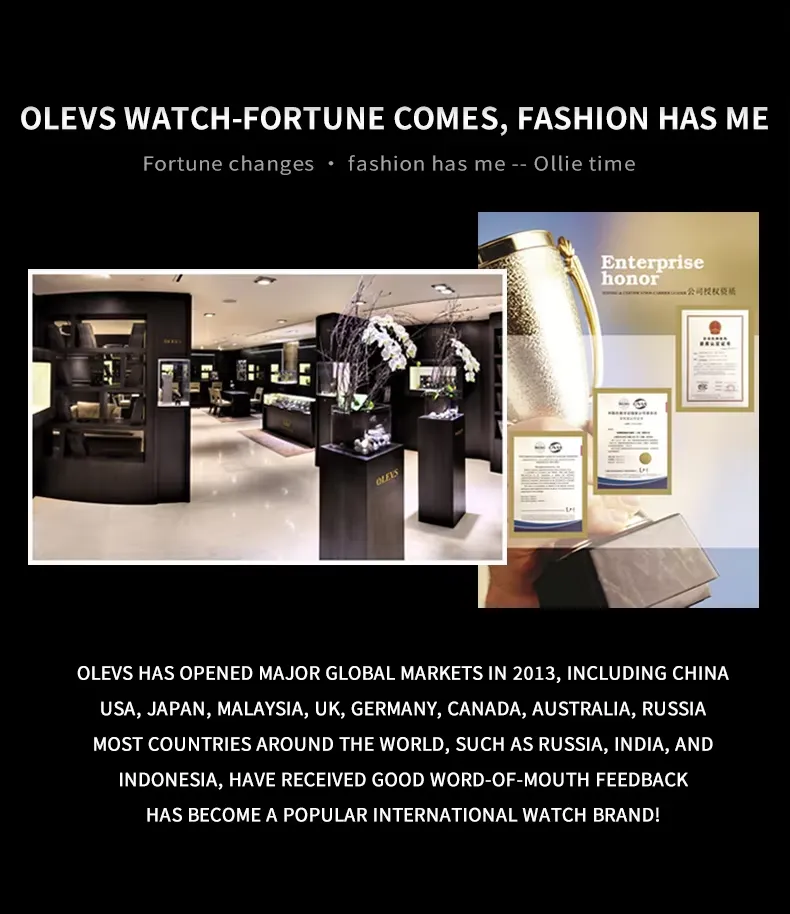 OLEVS Men's Watch 3738