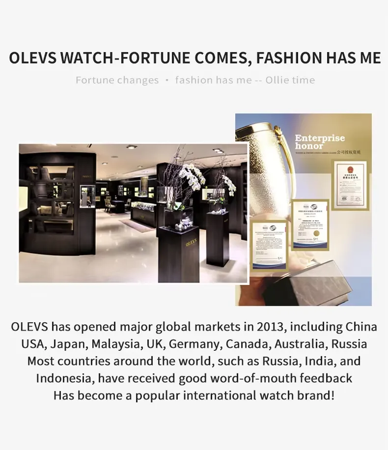 Olevs Men's Watch 3739