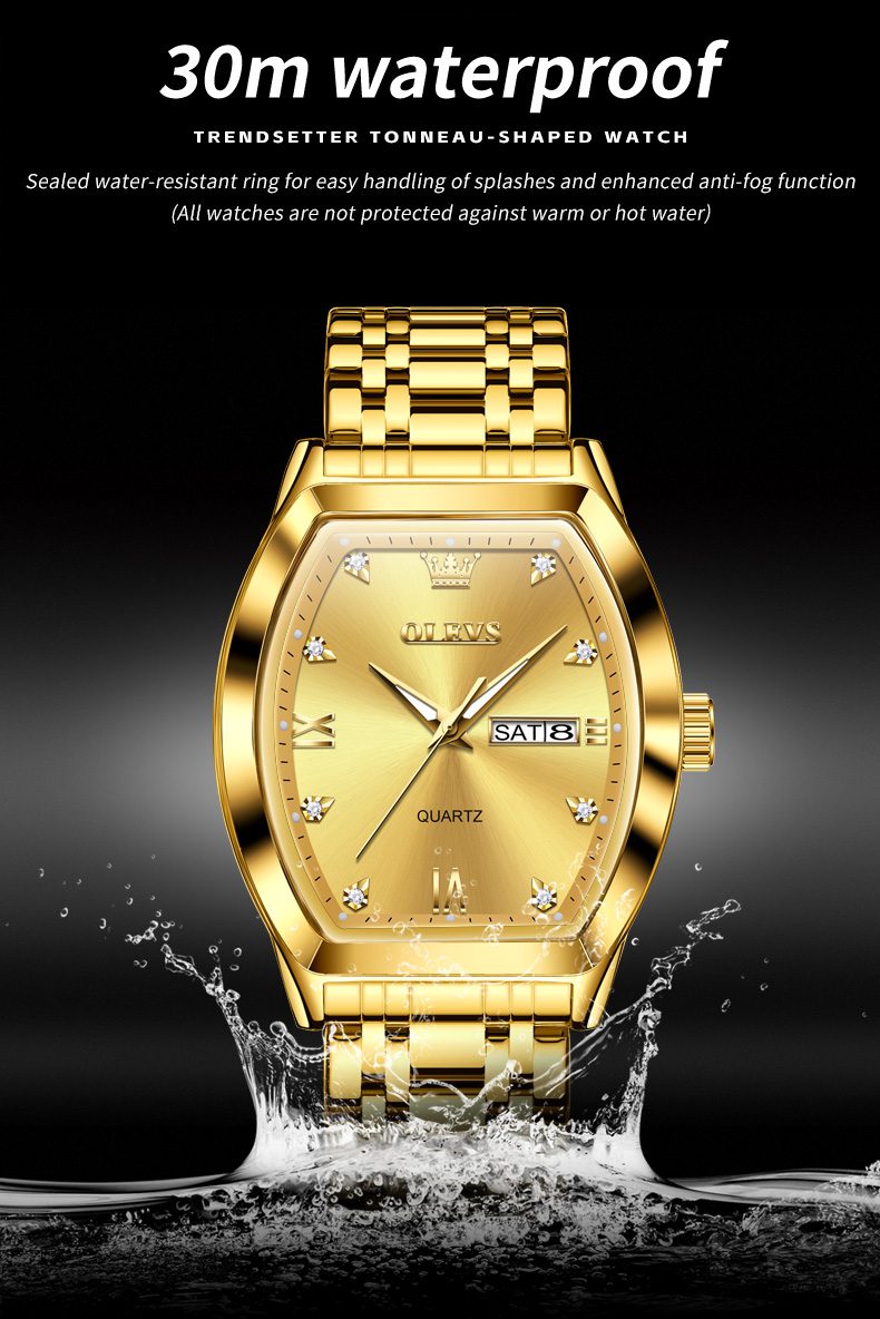 Olevs Men's Watch 5528