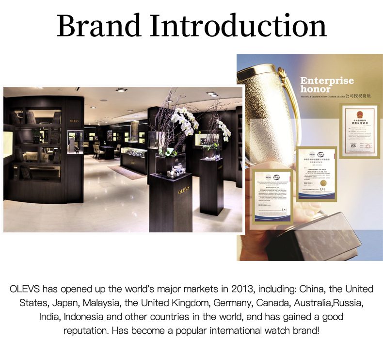 Olevs Women's Watch 5563