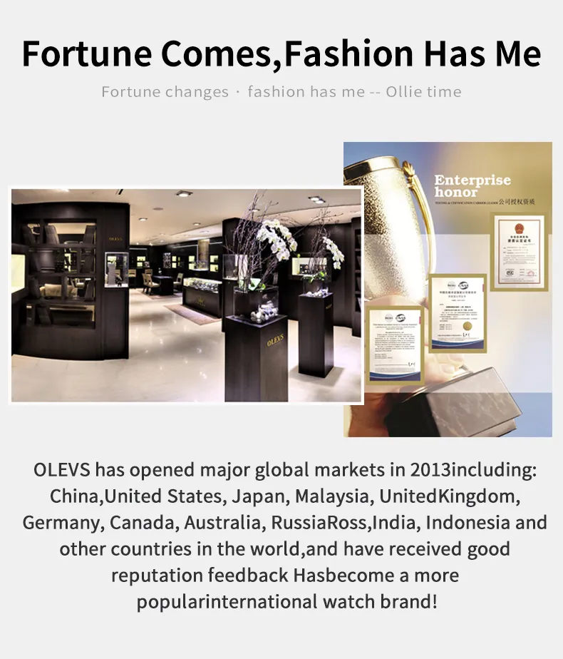 Olevs Men's Watch 5650