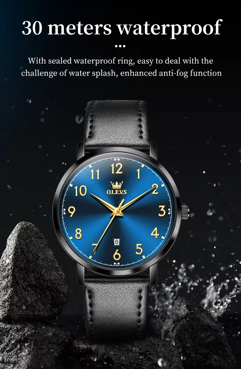 OLEVS Men's Watch 5653