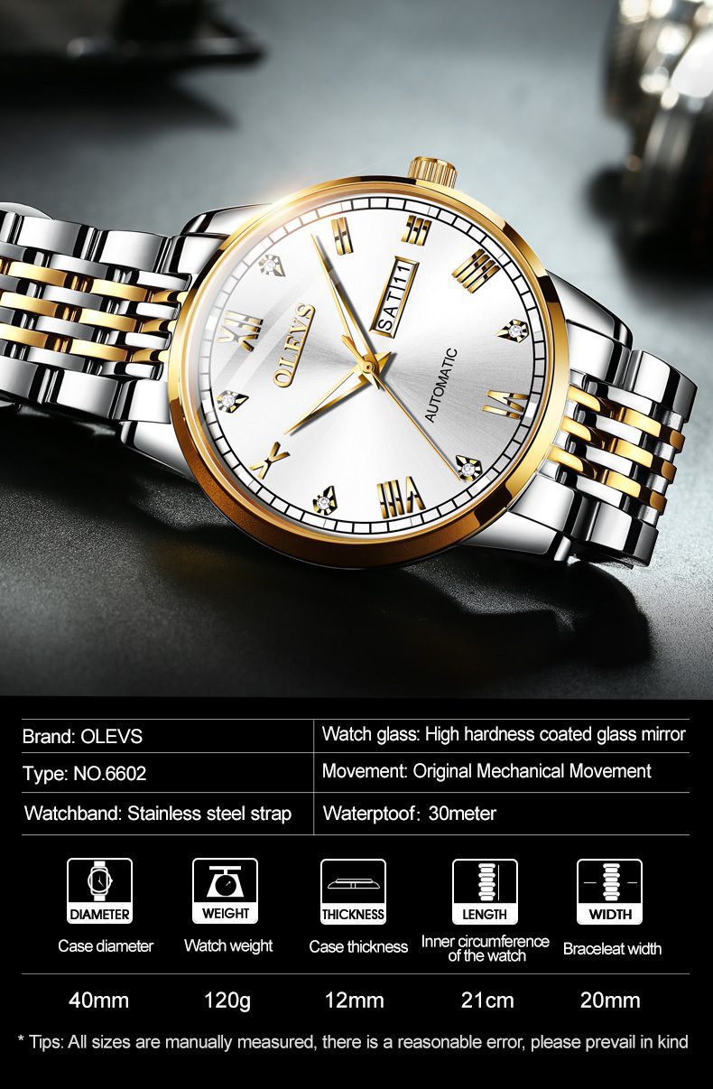 Olevs Men's Watch 6602