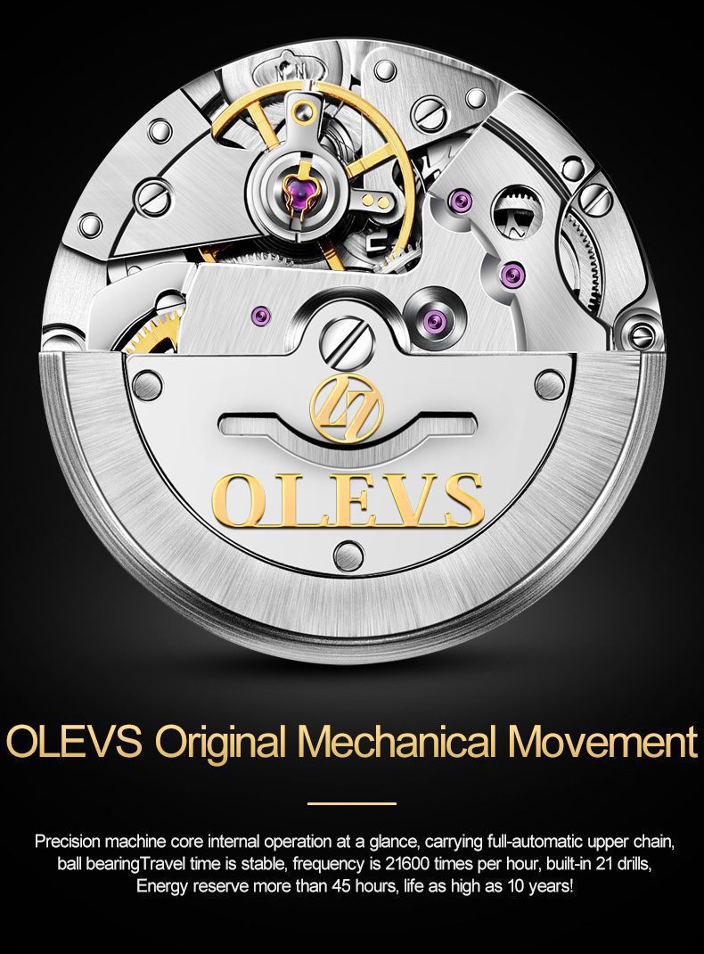 Olevs Men's Watch 6602