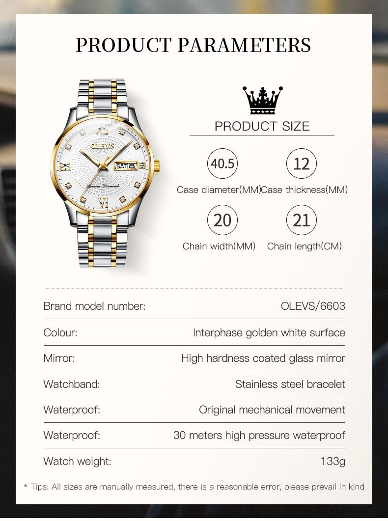 Olevs Men's Watch 6603