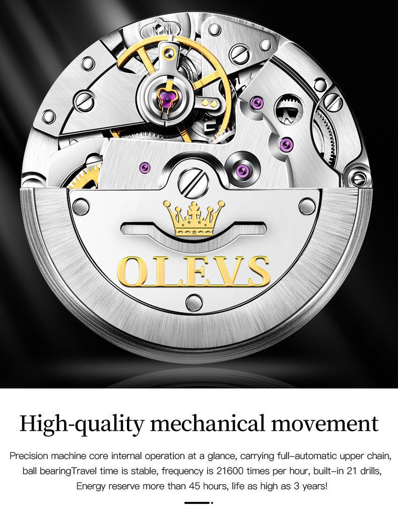 Olevs Men's Watch 6609