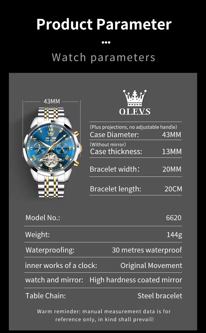 Olevs Men's Watch 6620