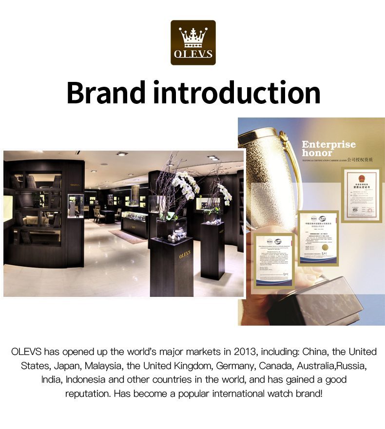 Olevs Men's Watch 6651