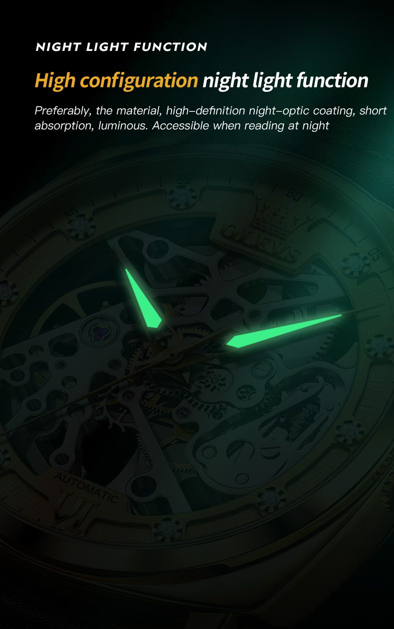 Olevs Men's Watch 6651