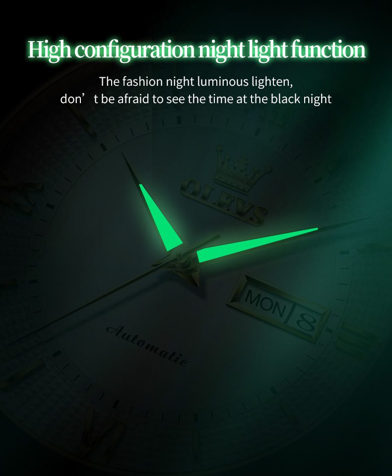 Olevs Men's Watch 6657