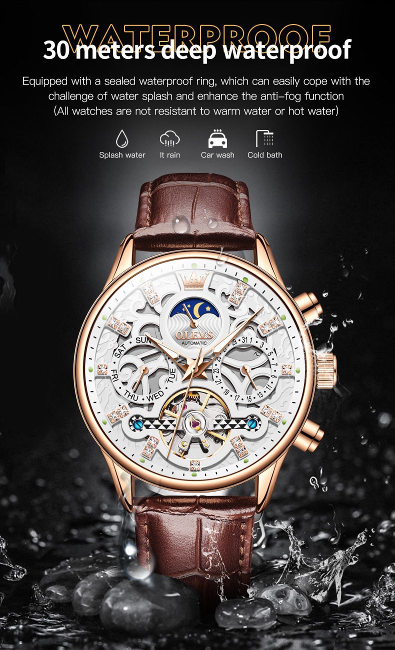 Olevs Men's Watch 6658