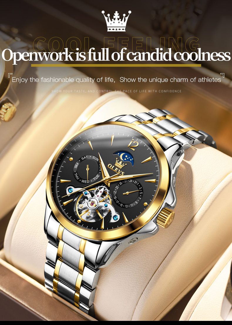 Olevs Men's Watch 6663