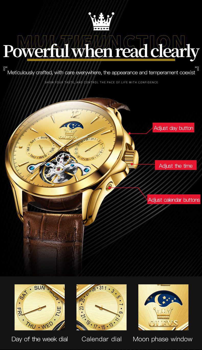 Olevs Men's Watch 6663