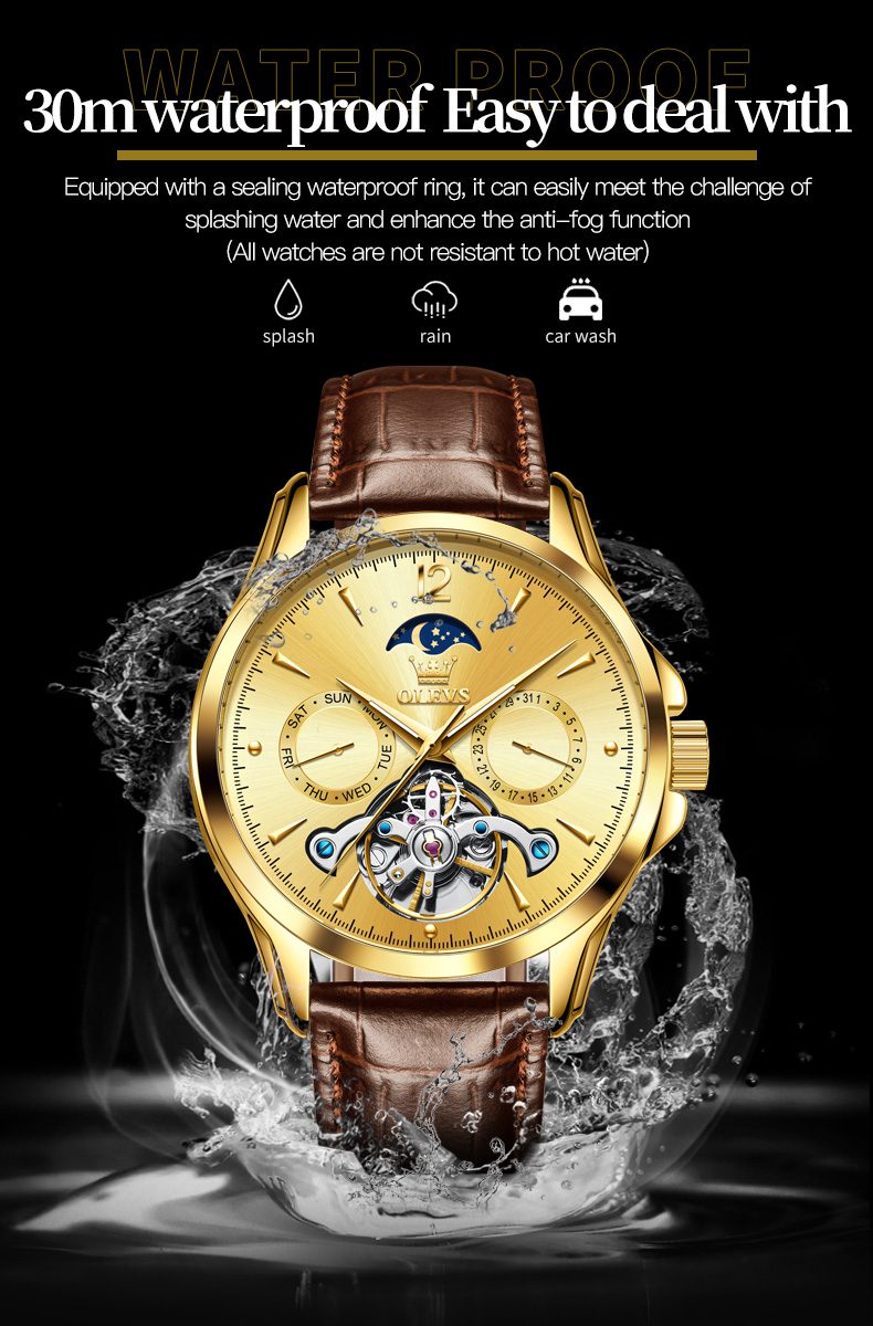 Olevs Men's Watch 6663