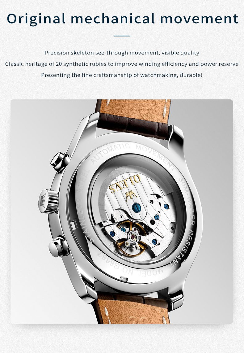 Olevs Men's Watch 6667