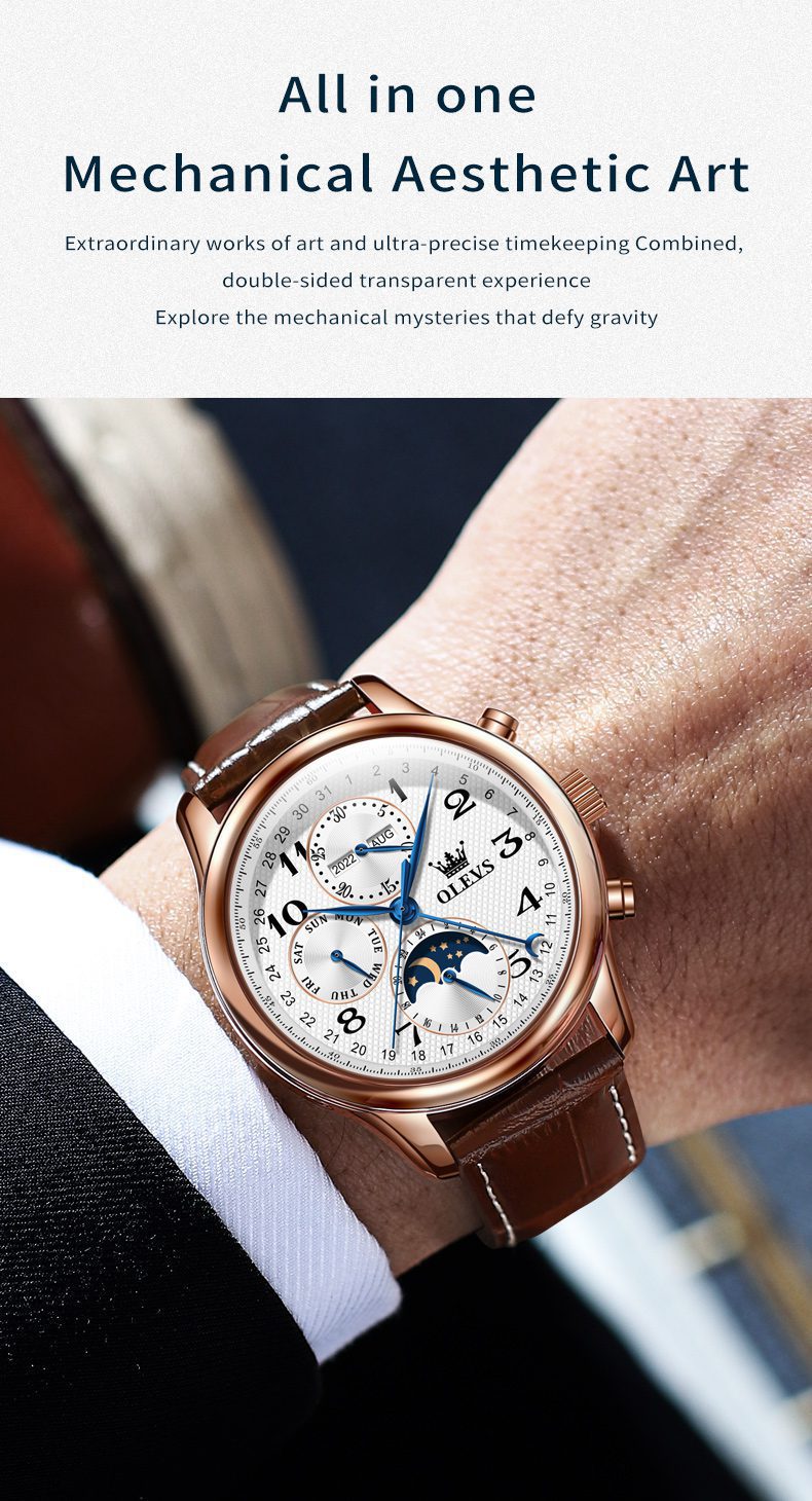 Olevs Men's Watch 6667