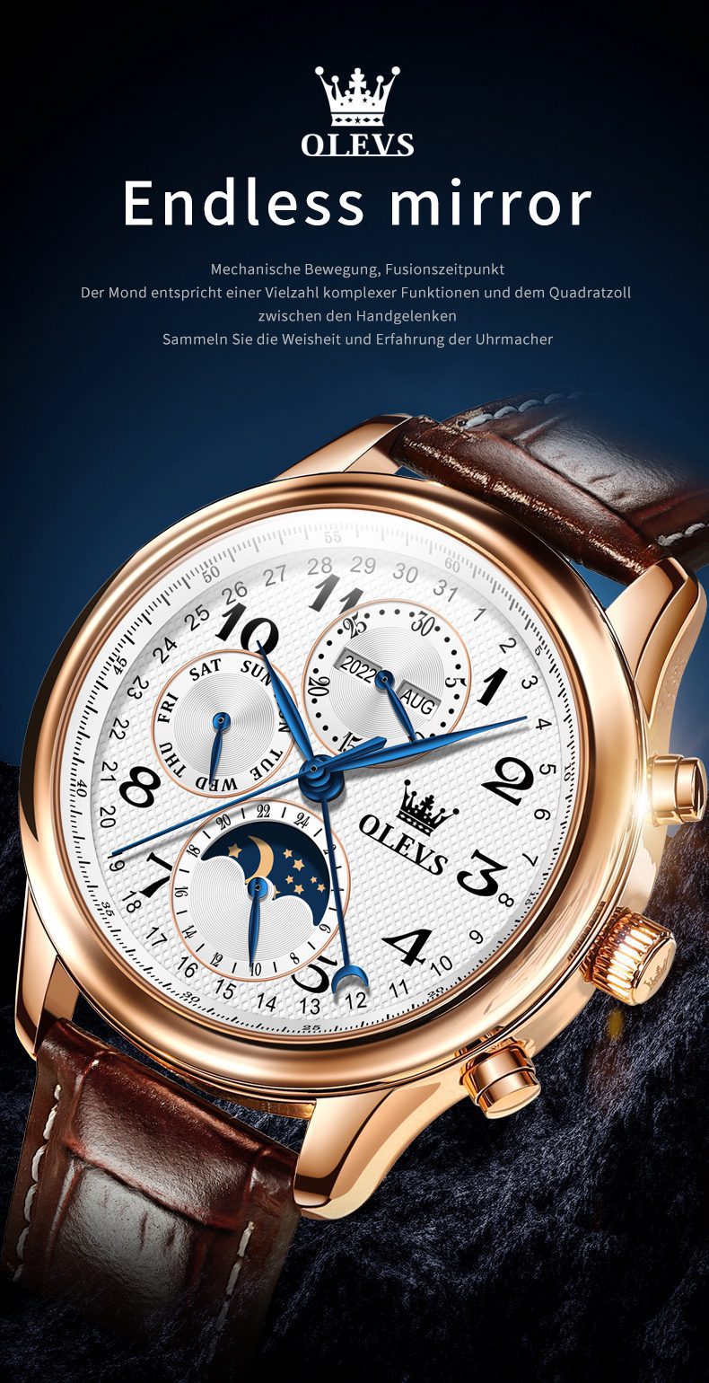 Olevs Men's Watch 6667