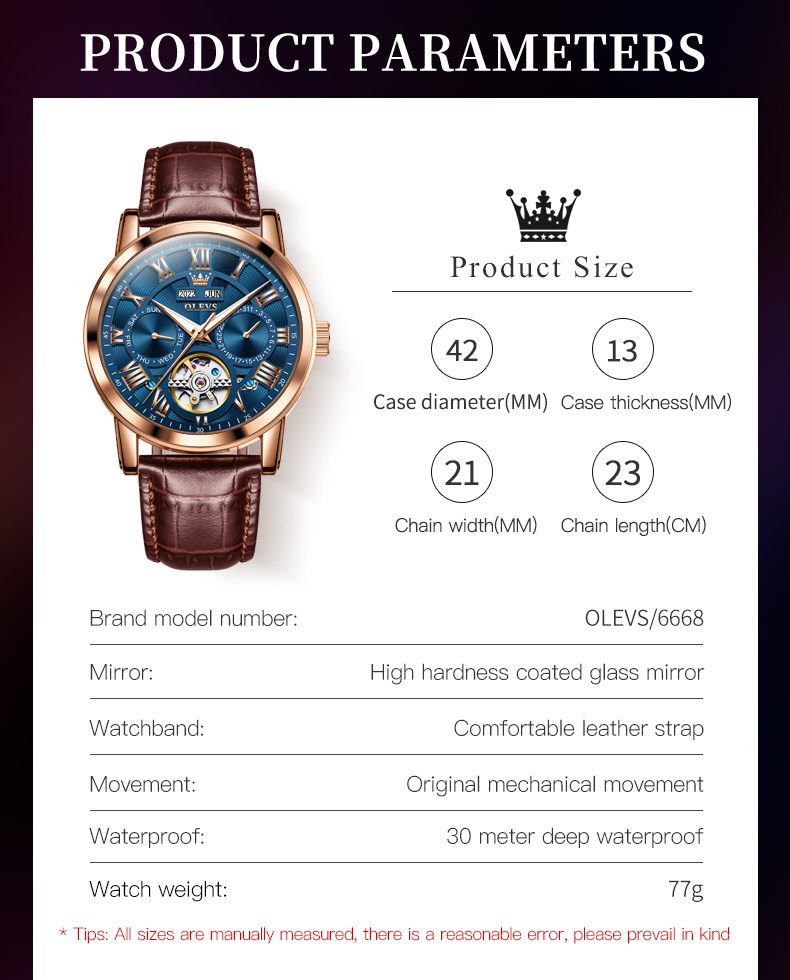 OLEVS Men's Watch 6668