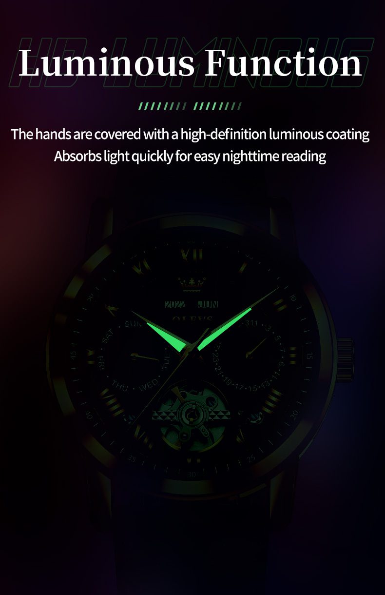 OLEVS Men's Watch 6668