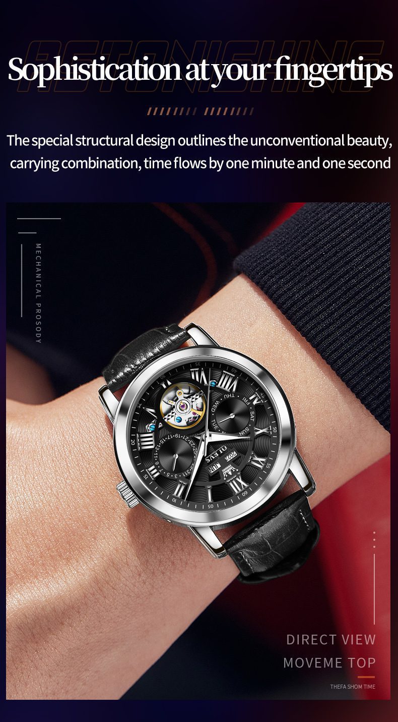 OLEVS Men's Watch 6668