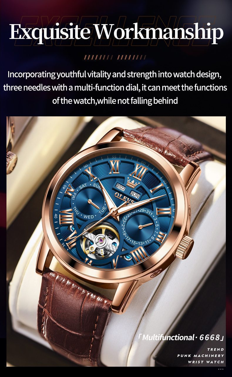 OLEVS Men's Watch 6668