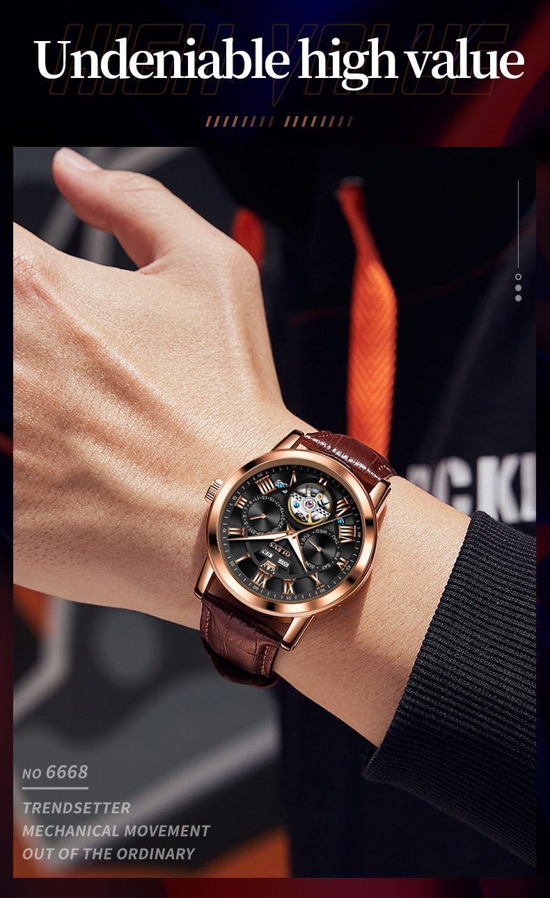 OLEVS Men's Watch 6668