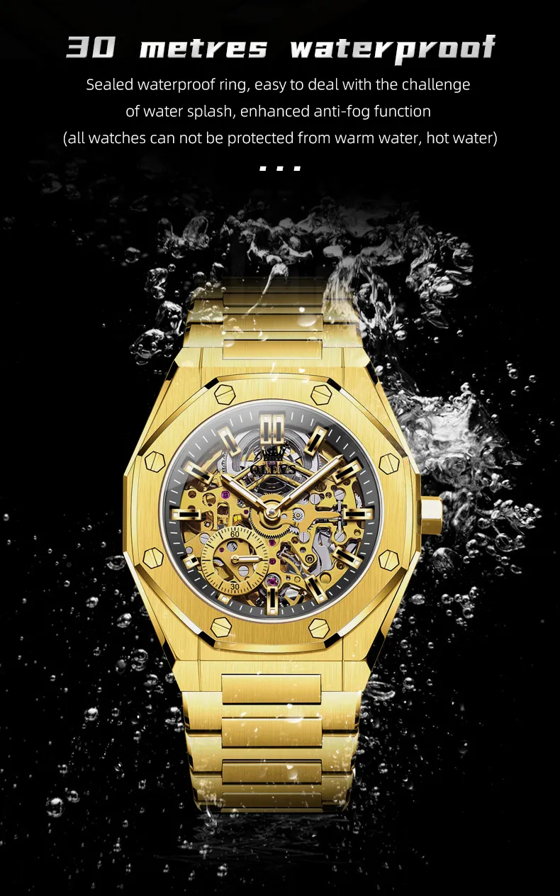 Olevs Men's Watch 6669