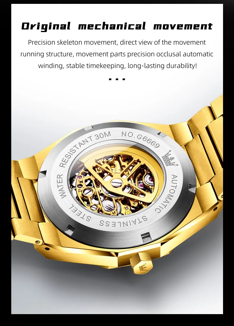 Olevs Men's Watch 6669