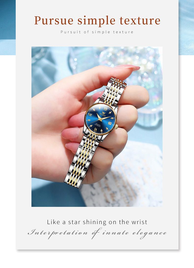 Olevs Men's Watch 6673