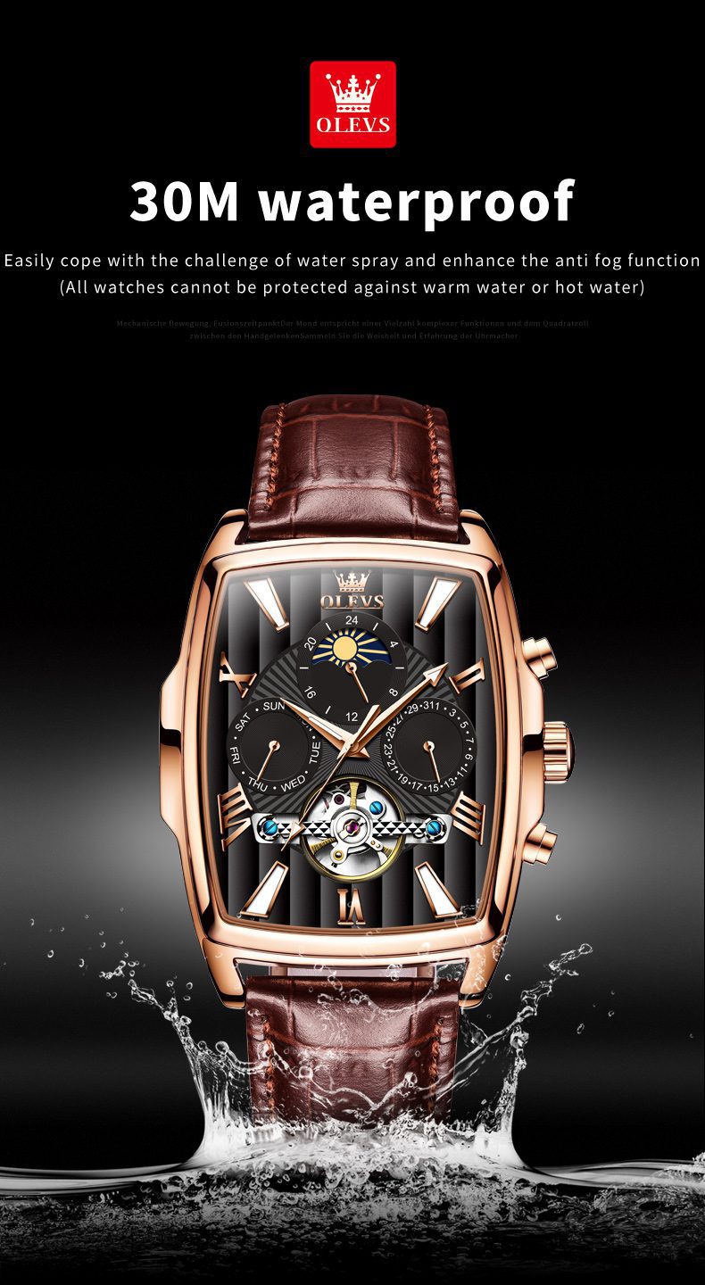 Olevs Men's Watch 6675