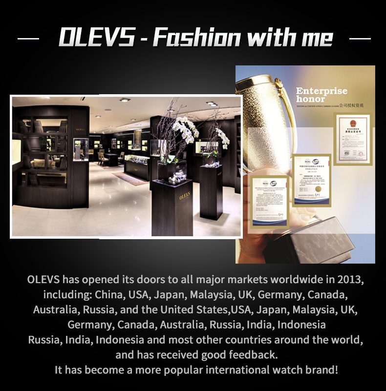 Olevs Men's Watch 6682