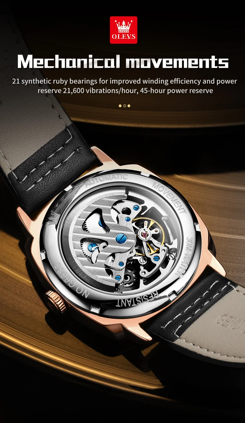 Olevs Men's Watch 6685