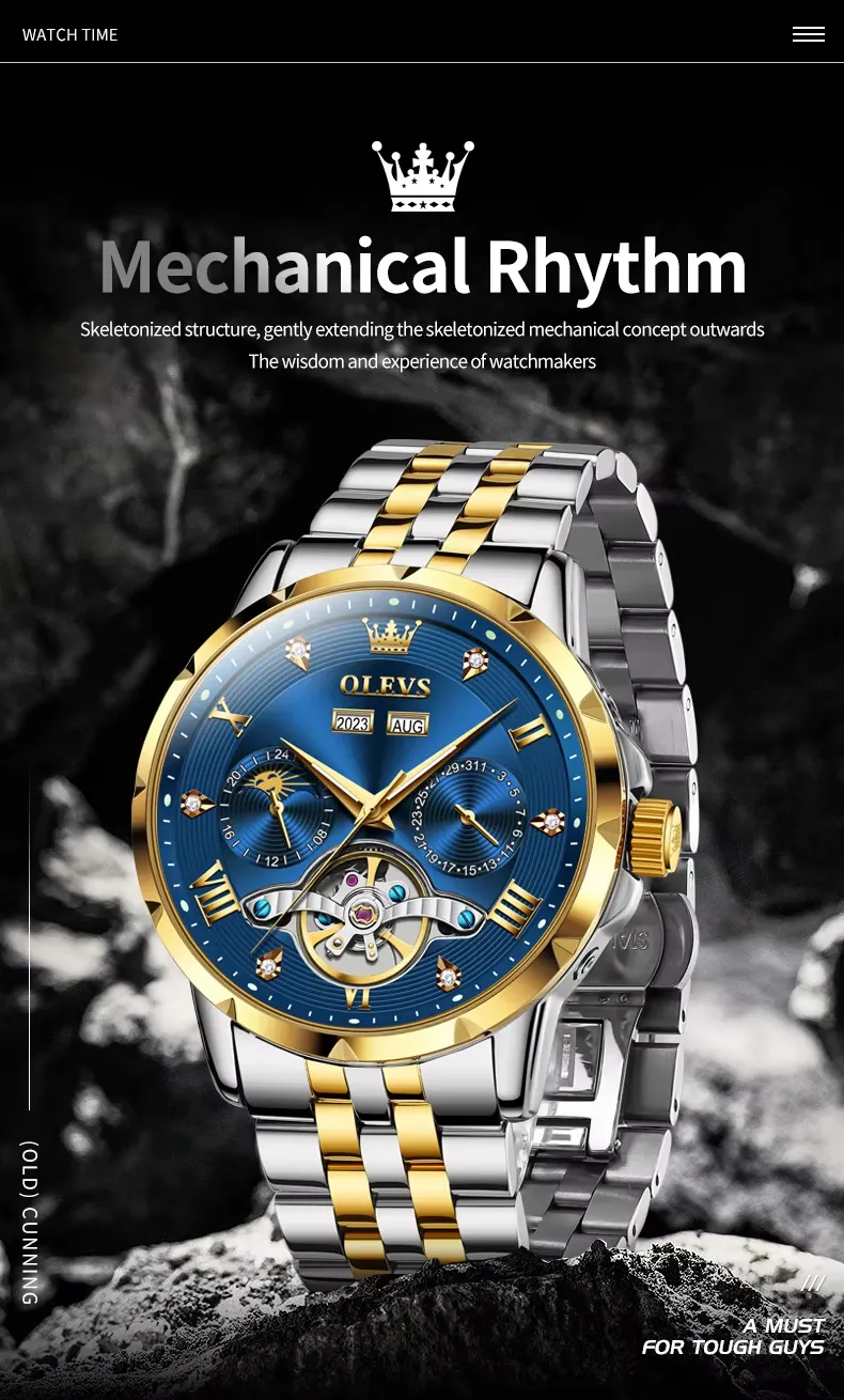 Olevs Men's Watch 6691