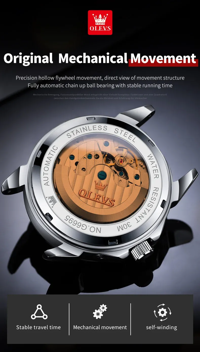 Olevs Men's Watch 6695