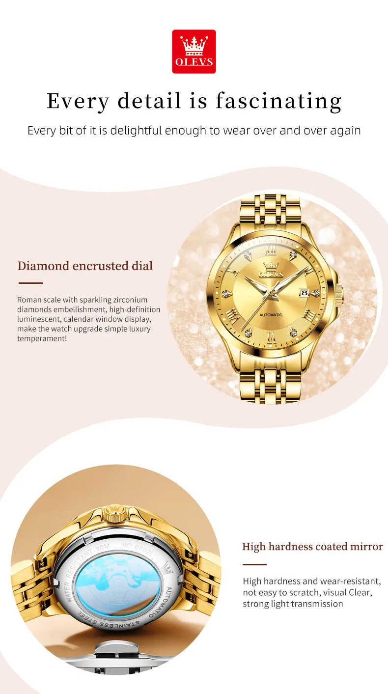 Olevs Men's Watch 6702