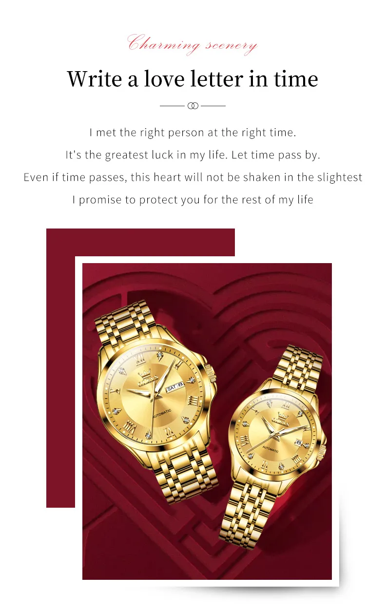 Olevs Men's Watch 6702