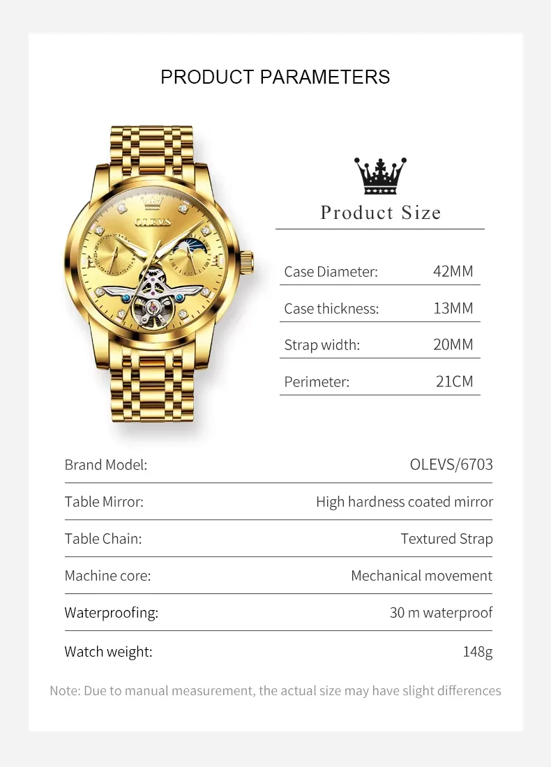 OLEVS Men's Watch 6703