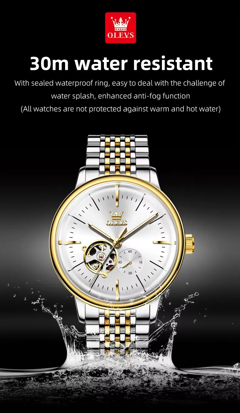 OLEVS Men's Watch 6708