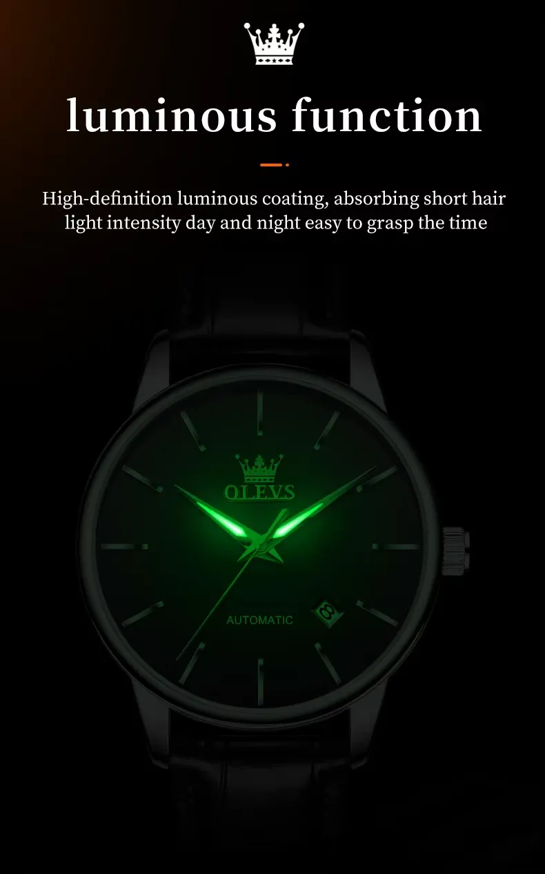 OLEVS Men's Watch 6725