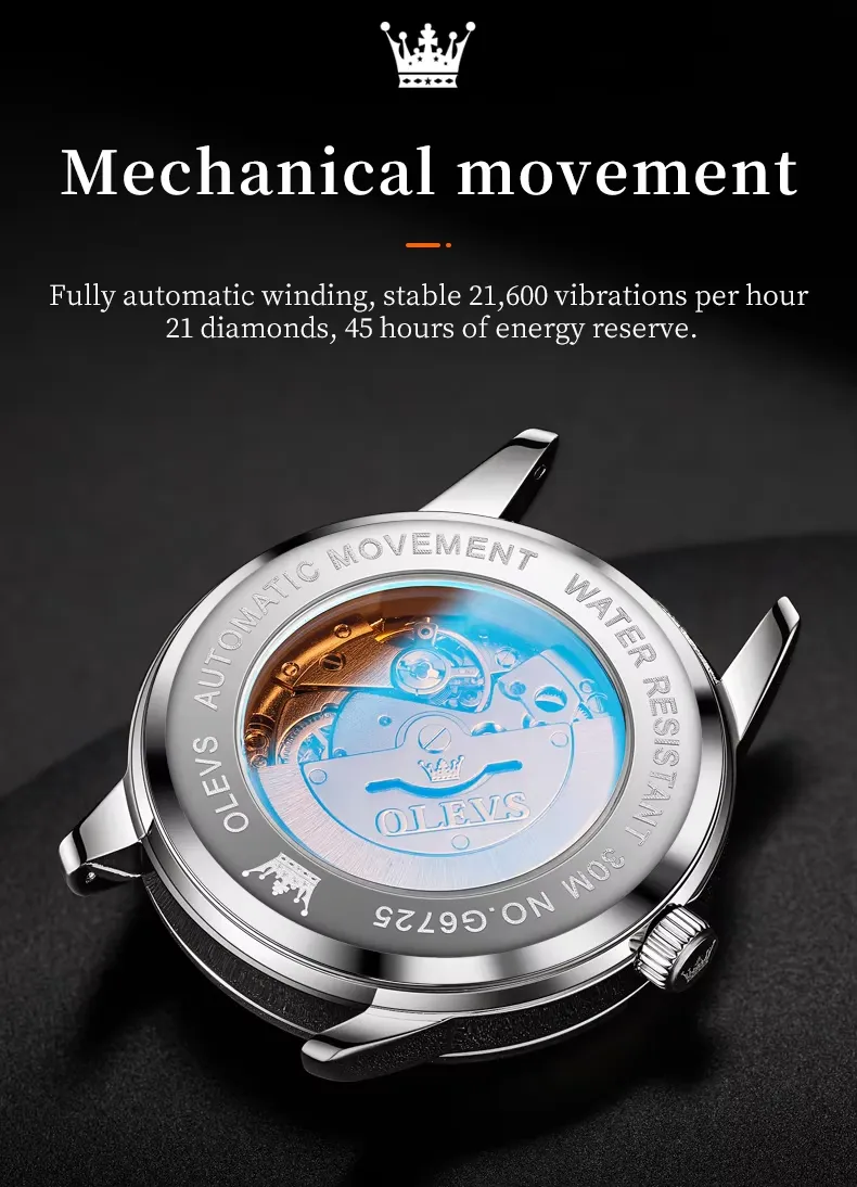 OLEVS Men's Watch 6725
