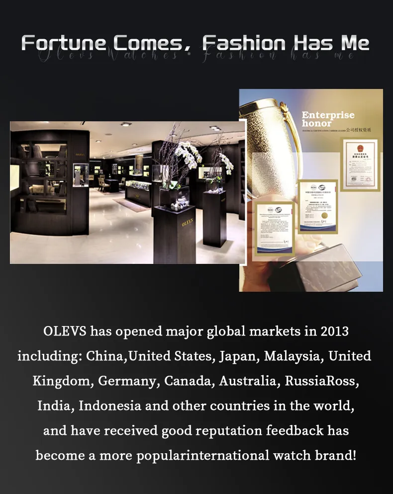 Olevs Men's Watch 6741