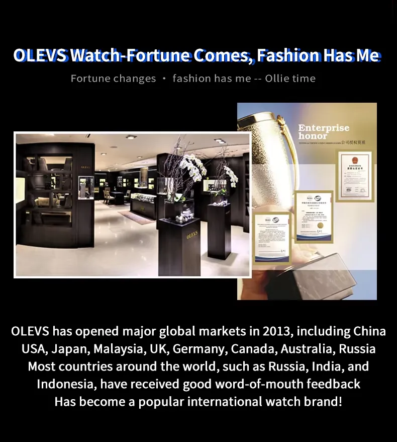 OLEVS Men's Watch 6751